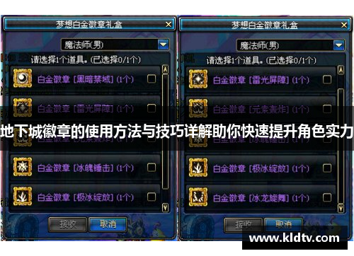 地下城徽章的使用方法与技巧详解助你快速提升角色实力