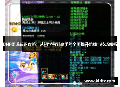 DNF柔道转职攻略：从初学者到高手的全面提升路线与技巧解析